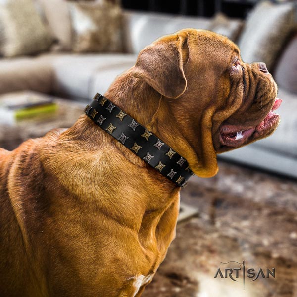 Dogue de Bordeaux studded full grain natural leather dog collar for your impressive doggie