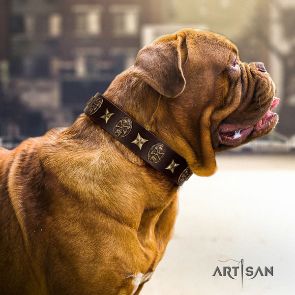 Dogue de Bordeaux embellished leather dog collar for your attractive four-legged friend