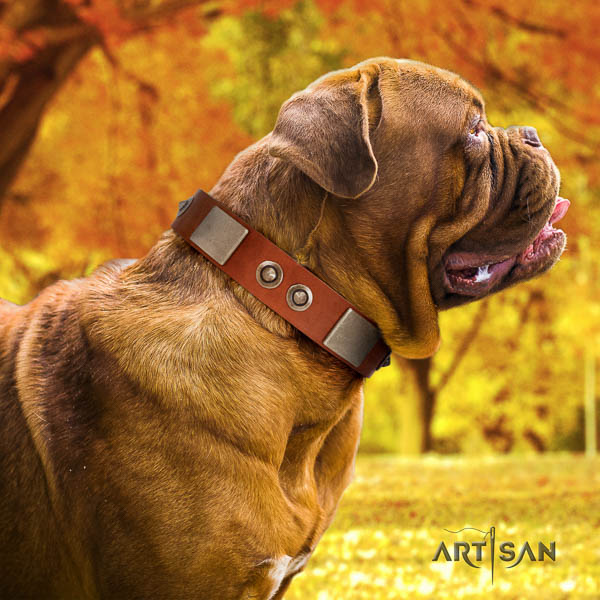 Dogue de Bordeaux adorned full grain genuine leather dog collar for your stylish dog