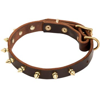 Leather Dogue de Bordeaux Collar with Brass Spikes