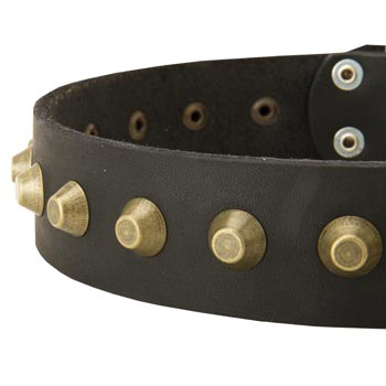 Leather Dog Collar with Brass Pyramids for Dogue de Bordeaux