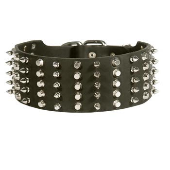 Dogue de Bordeaux Spiked Studded  Leather Collar