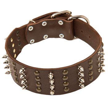 Leather Collar for Dogue de Bordeaux Walking in Style 