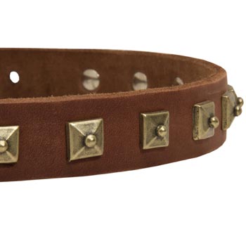 Dogue de Bordeaux Leather Collar With Square  Studs