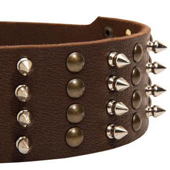 Dogue de Bordeaux Leather Collar with Rust-proof Fittings