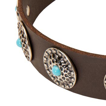 Blue-Stones Leather Dogue de Bordeaux Collar