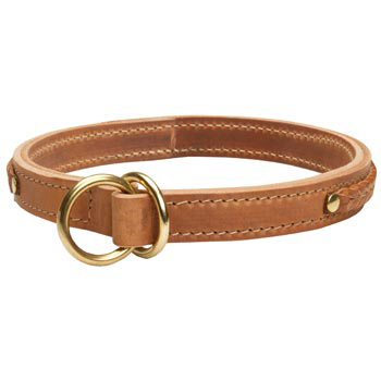  2 Ply Leather Choke Collar for Dogue de Bordeaux