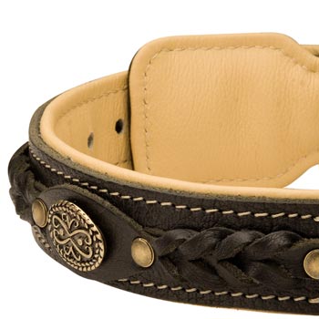  Leather Walking Fashion Collar for Dogue de Bordeaux