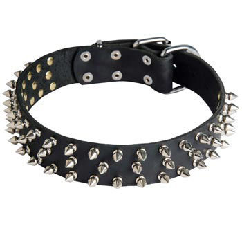 Leather Dogue de Bordeaux Collar with Spikes
