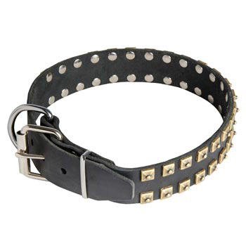 Leather Dogue de Bordeaux Collar with Solid Rivets