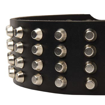 Leather Dog Collar with Studs for   Dogue de Bordeaux