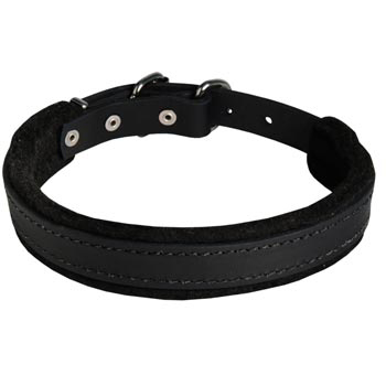 Dogue de Bordeaux Collar Leather for Dog Protection Attack Training