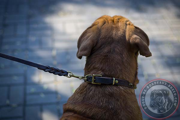 Leather Dogue de Bordeaux collar with rust proof decorations