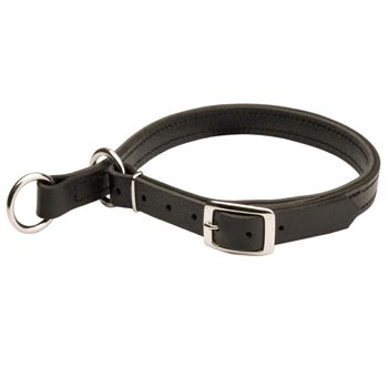 Dogue de Bordeaux Obedience Training Choke  Leather Collar