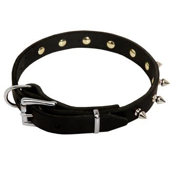 Dogue de Bordeaux Dog Leather Collar Steel Nickel Plated Spikes