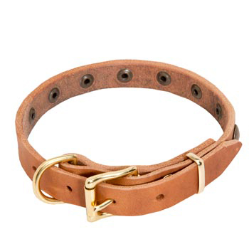 Dogue de Bordeaux Leather Collar with Studs