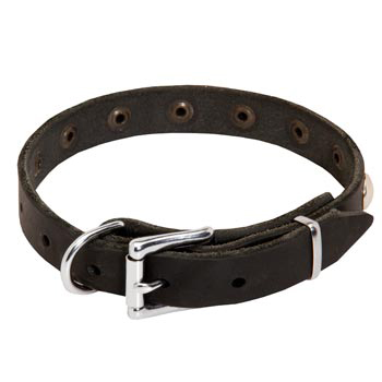 Leather Dog Puppy Collar with Steel Nickel Plated Studs for Dogue de Bordeaux