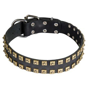 Leather Dogue de Bordeaux Collar with Firm Studs