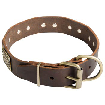 War-Style Leather Collar for Dogue de Bordeaux