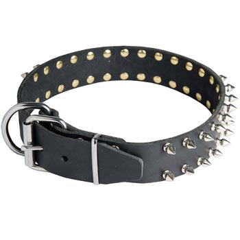 Spiked Leather Dog Collar for Dogue de Bordeaux Fashion Walking