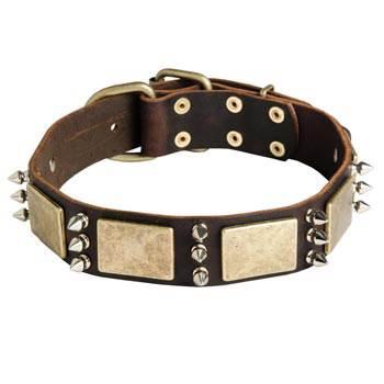 War-Style Leather Dog Collar for Dogue de Bordeaux
