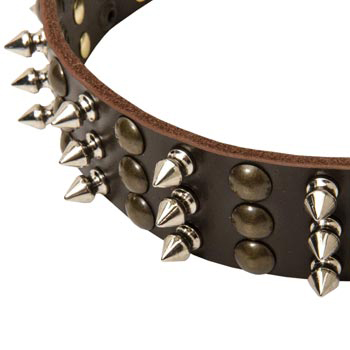 3 Rows of Spikes and Studs Decorative Dogue de Bordeaux  Leather Collar