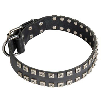 Leather Dogue de Bordeaux Collar Wide Strong Studded