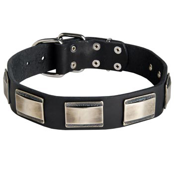 Leather Dogue de Bordeaux Collar with Solid Nickel Plates