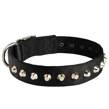 Walking Nylon   Dogue de Bordeaux Collar Nickel Studded Waterproof