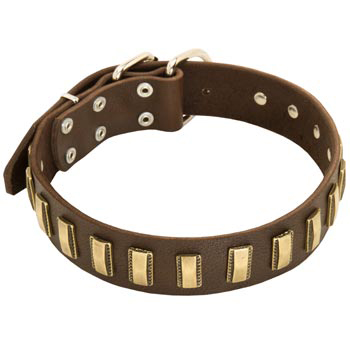 Leather Dog Collar with Adornment for Dogue de Bordeaux