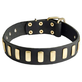 Dogue de Bordeaux Collar Leather with Brass Hardware