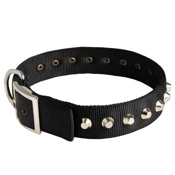 Nylon Buckle Dog Collar Wide with Studs for   Dogue de Bordeaux