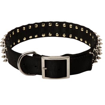 Dogue de Bordeaux Wide Dog Nylon Collar Spiked