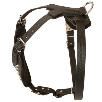 Custom Made Leather Dogue de Bordeaux Harness