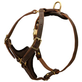 Dogue de Bordeaux Harness Y-Shaped Brown Leather Easy Adjustable for Best Fit