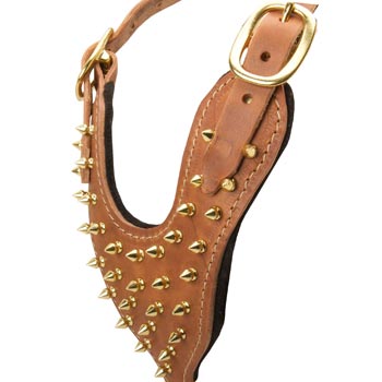 Brass Spiked Leather Dogue de Bordeaux Harness