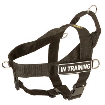 Dogue de Bordeaux Nylon Harness with ID Patches