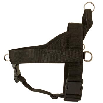 Dogue de Bordeaux Harness Nylon for Comfy Walking