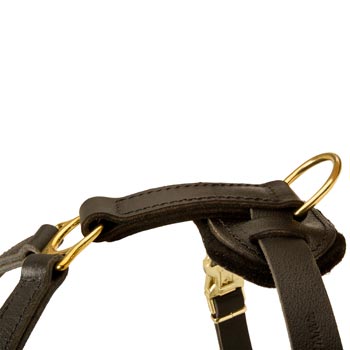 Corrosion Resistant D-ring of Dogue de Bordeaux Harness