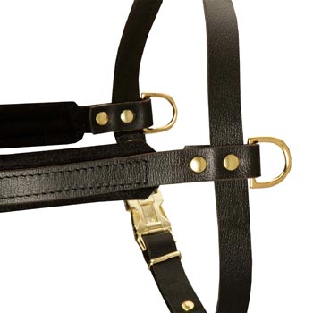 Training Pulling Dogue de Bordeaux Harness with Sewn-In Side D-Rings