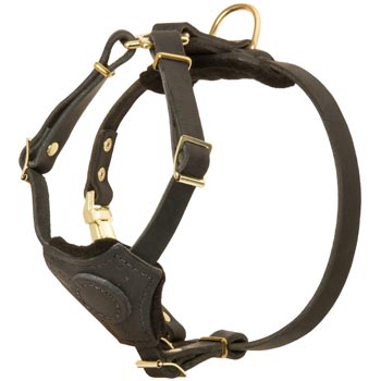 Light Weight Leather Puppy Harness for Dogue de Bordeaux