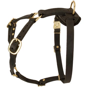 Tracking Leather Dog Harness for Dogue de Bordeaux