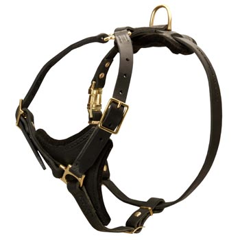 Dogue de Bordeaux Harness Black Leather with Padded Chest Plate for Training