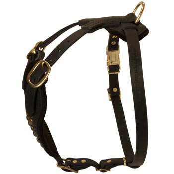 Easy Adjustable Leather Dogue de Bordeaux Harness