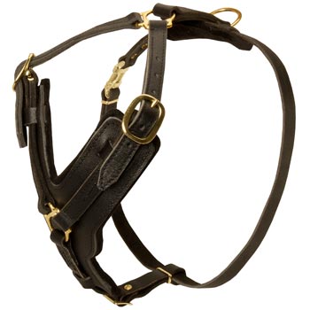 Comfortable Y-Shaped Leather Harness for Dogue de Bordeaux Attack  Training