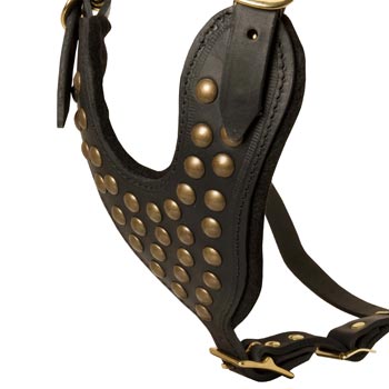 Studded Black Leather CHest Plate for Dogue de Bordeaux Comfort