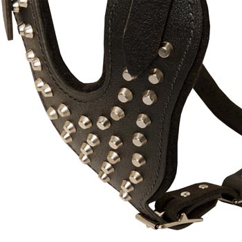 Studded Chest Plate Leather Dogue de Bordeaux Harness