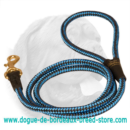 Cord nylon dog leash for Dogue de Bordeaux dog