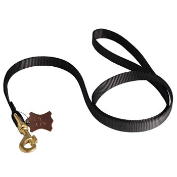 Walking Dogue de Bordeaux Leash