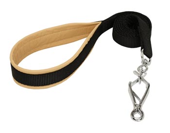 Dogue de Bordeaux Nylon Leash for Walking and Training